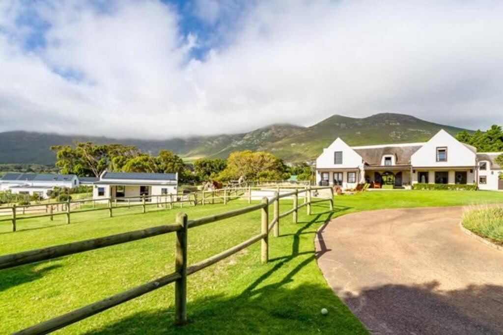 Serene, Thatched Apartment In Noordhoek, Fokváros Kültér fotó