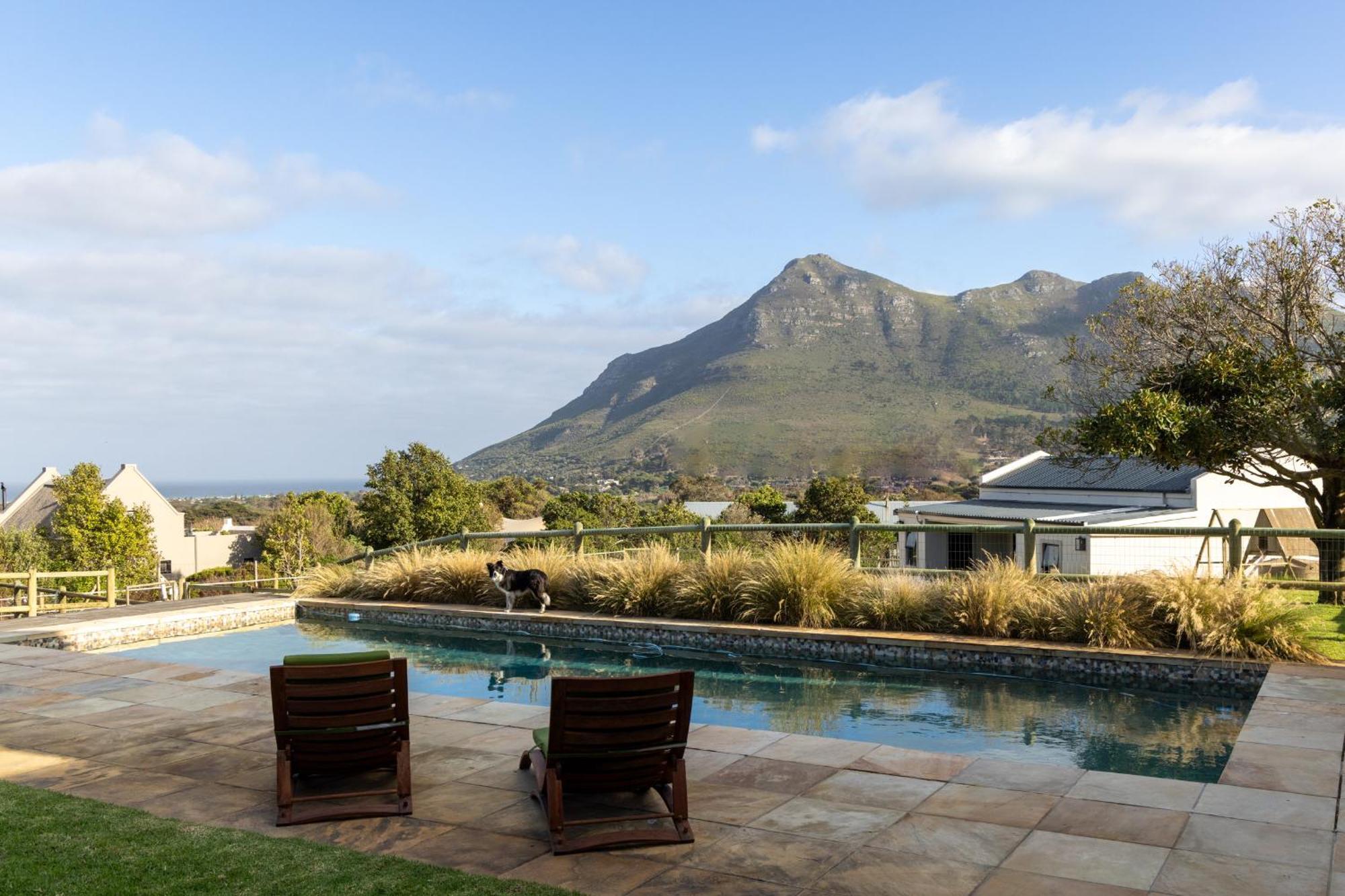 Serene, Thatched Apartment In Noordhoek, Fokváros Kültér fotó