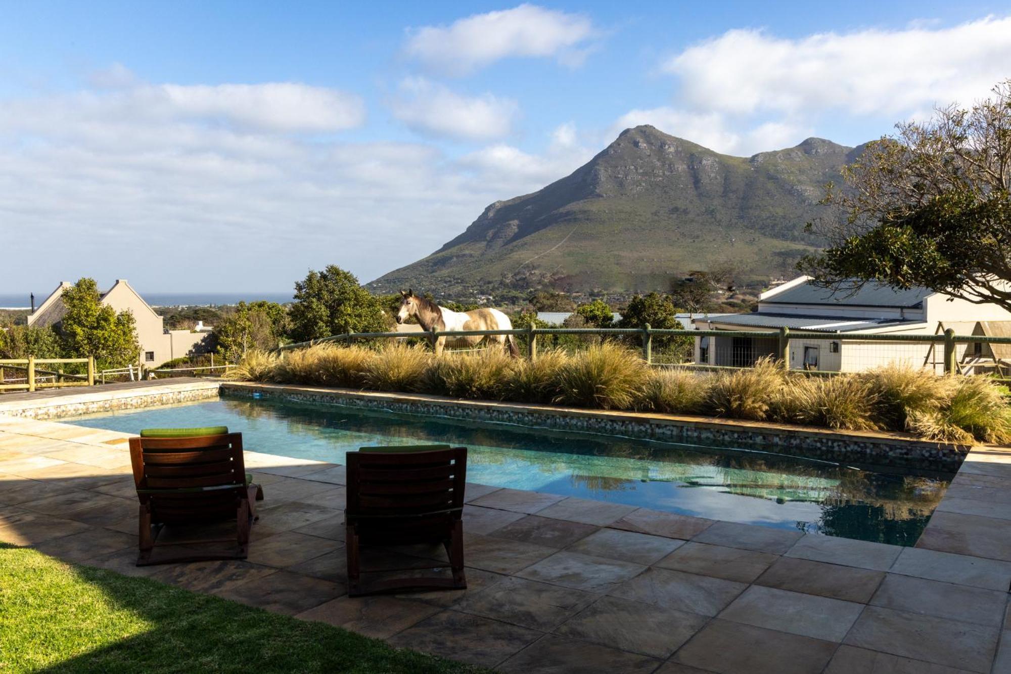 Serene, Thatched Apartment In Noordhoek, Fokváros Kültér fotó
